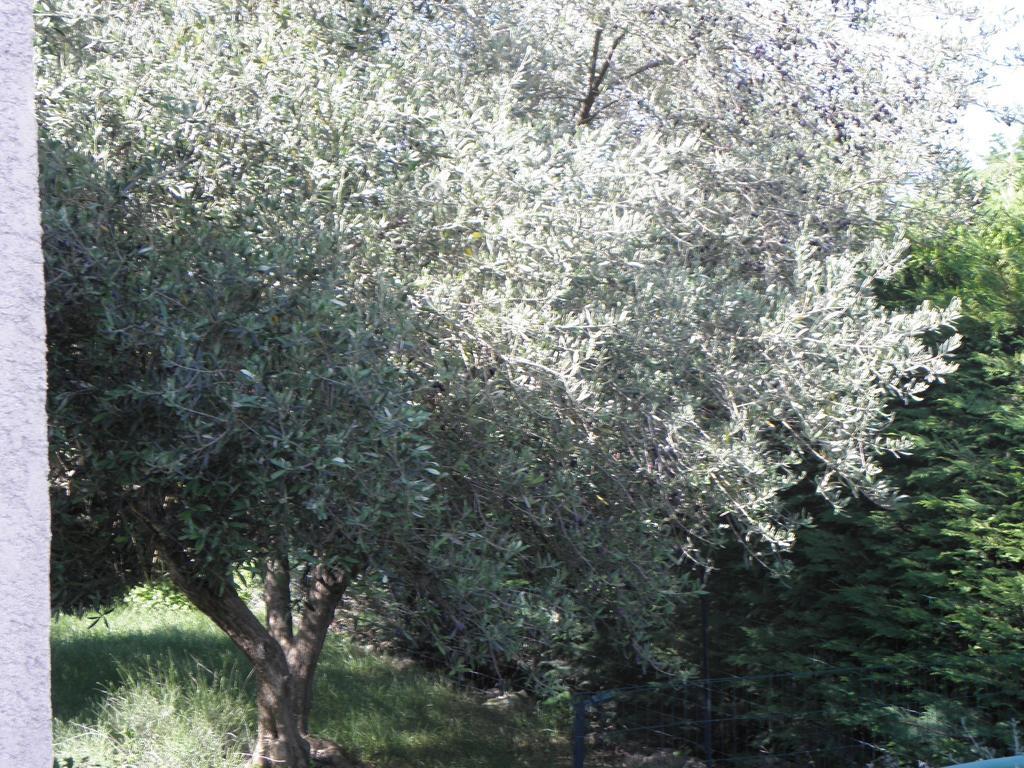 Appartamento La Parenthèse Sommières Camera foto